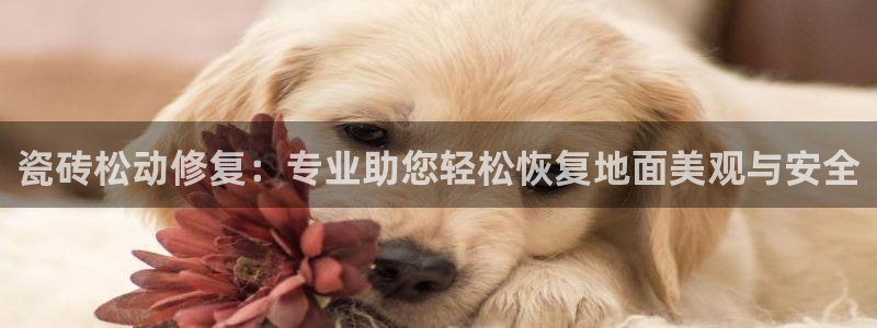 必一体育是哪里的台子