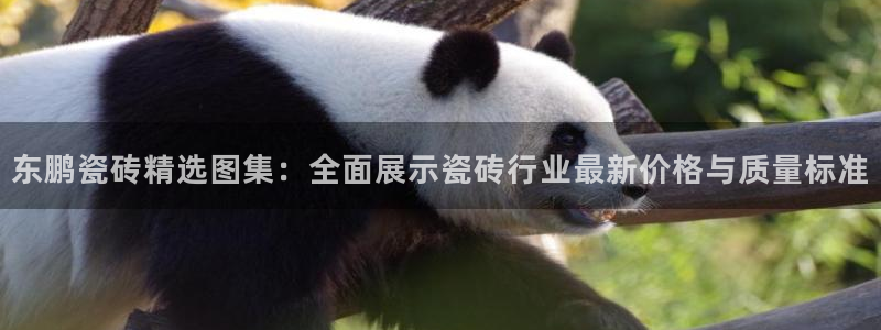 必一体育平台