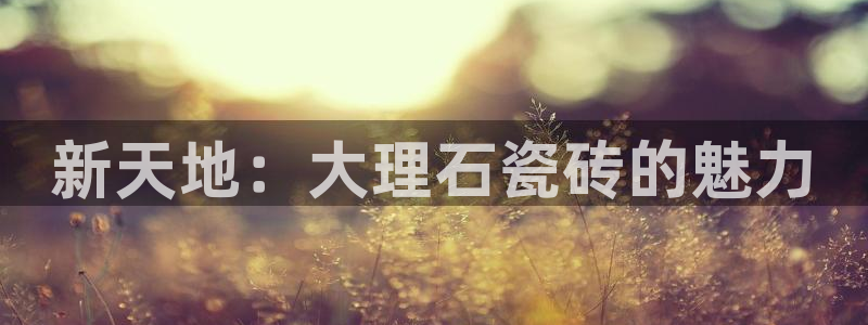 b体育必一运动网页版在线登录入口