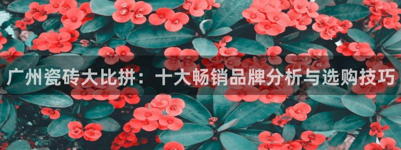 必一体育官网网址
