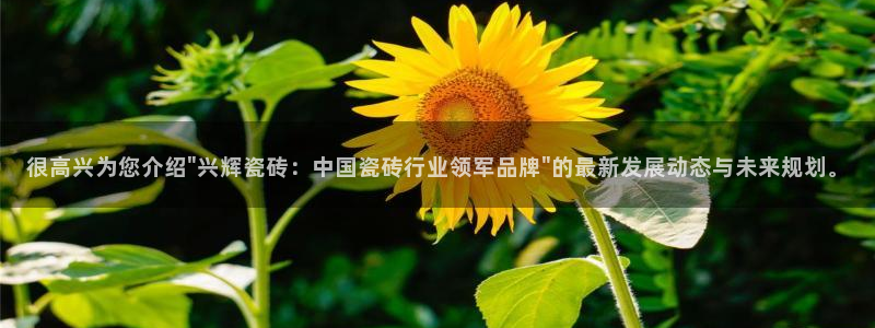 必一体育运动app下载