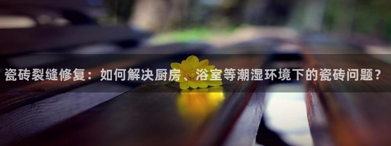必一体育网页登陆