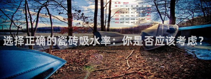 必一体育sport网页版