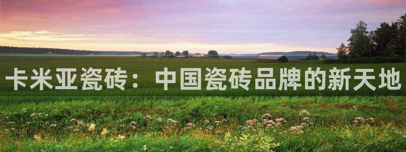 必一体育网页版登录