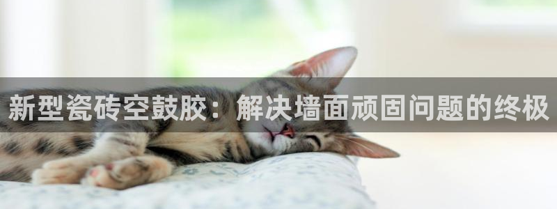 必一体育官网app