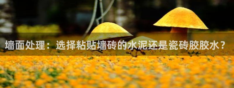 必一体育
