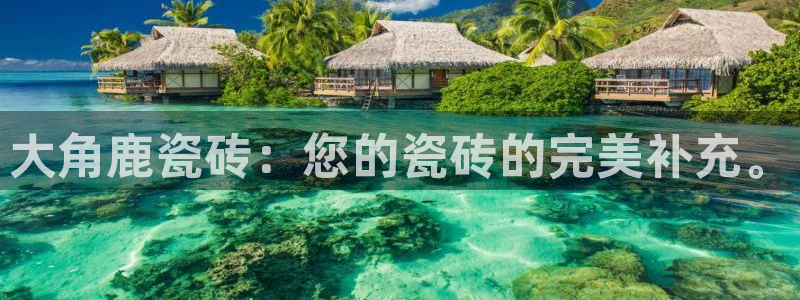 必一运动·(B-sports)