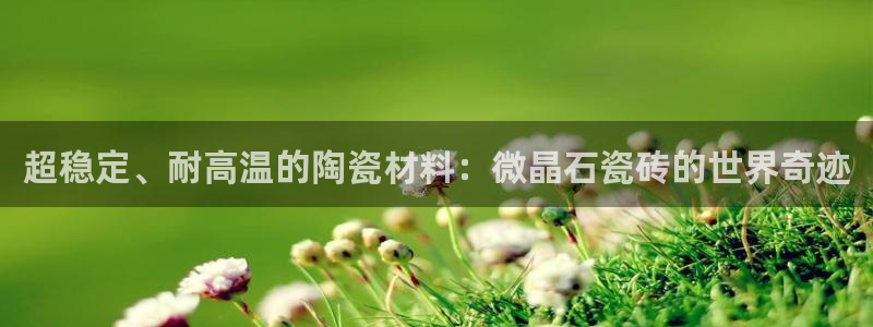 必一体育手机下载