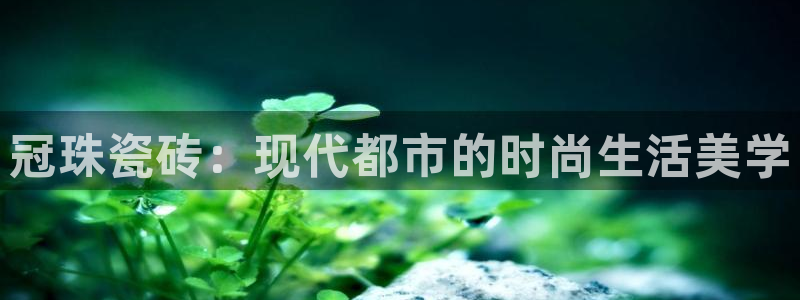 必一体育运动官网