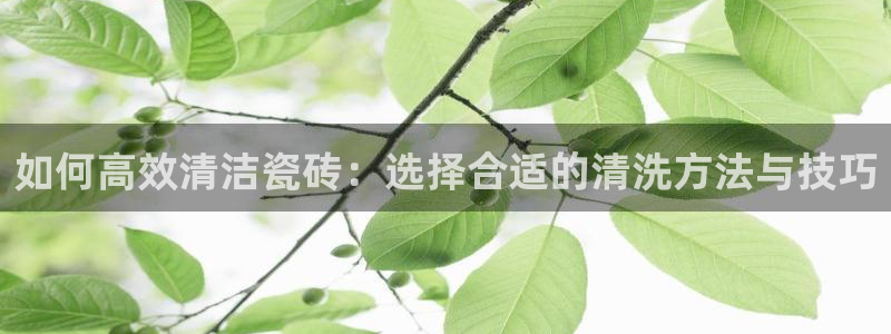 必一体育运动平台官网