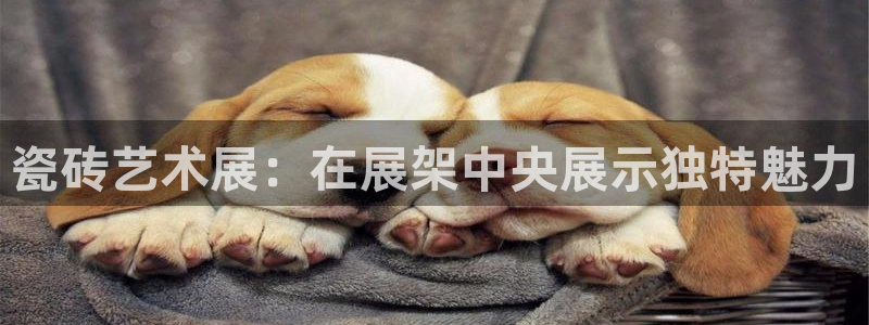 必一体育是啥