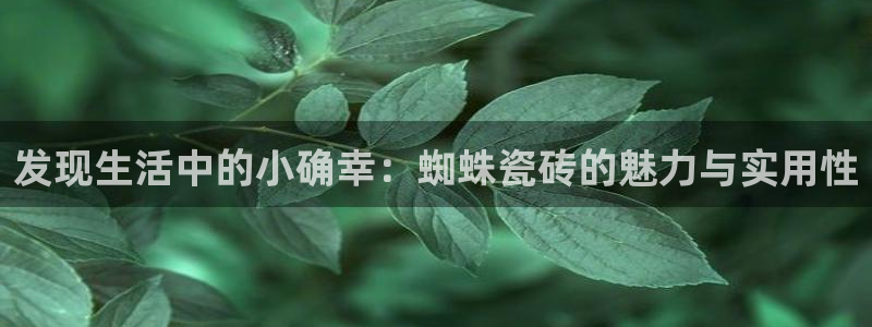 必一运动bsport体育app下载