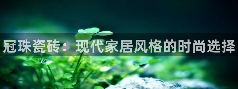 必一体育app官方网站