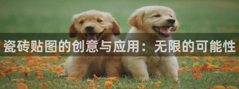 必一体育官方app下载