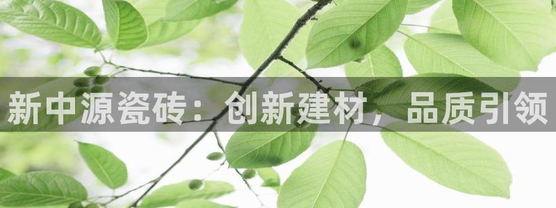 必一体育sport官网