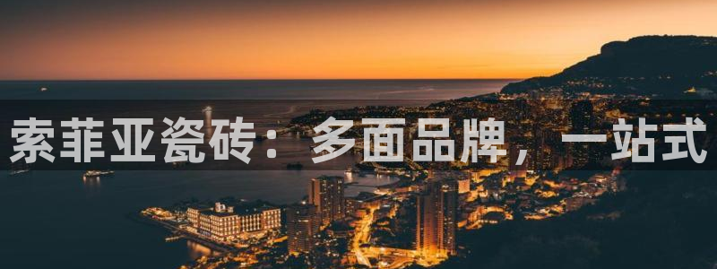 必一运动 b 体育素描版