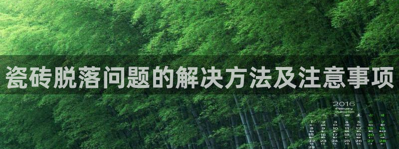 必一体育app下载最新版本苹果