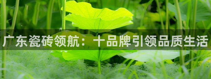 必一运动官网平台