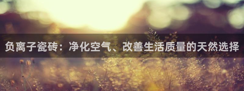 必一体育流水线是什么意思