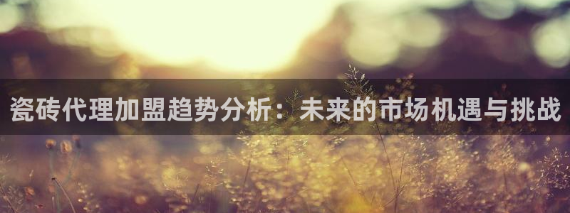 必一体育在线玩