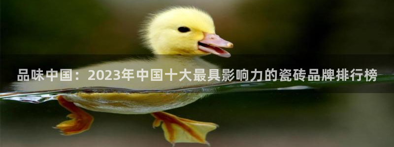 必一体育旧版