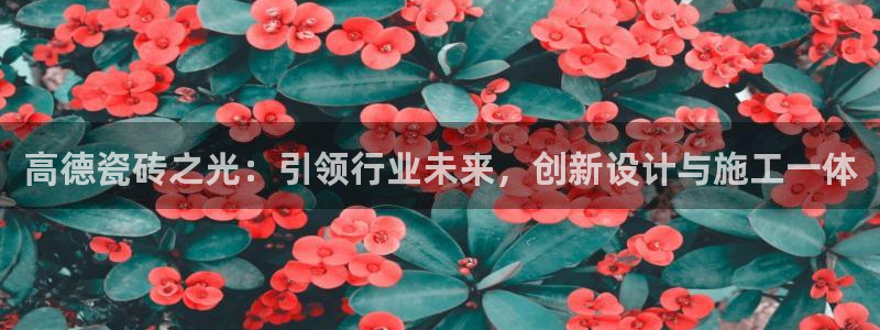 必一体育app官方
