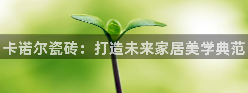 必一运动