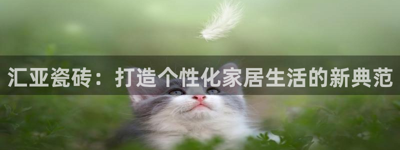 必一体育没了