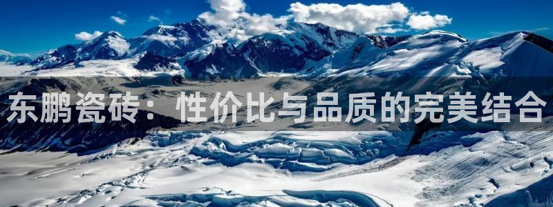 必一体育验证码