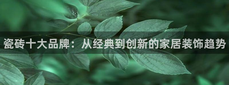 必一体育运动app