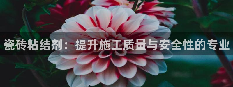 必一体育官网ios下载