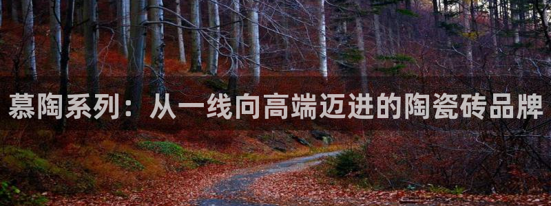 必一体育官网入口