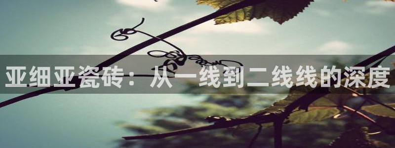 必一体育在线入口