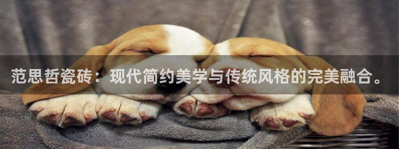 必一体育在线入口