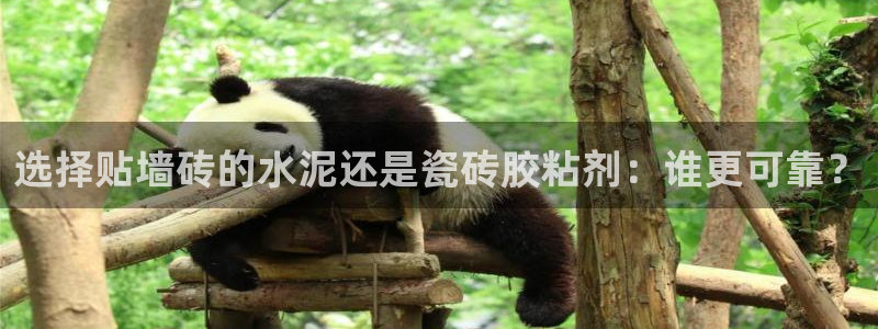 必一体育登录入口