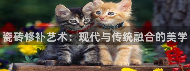 必一体育在线玩