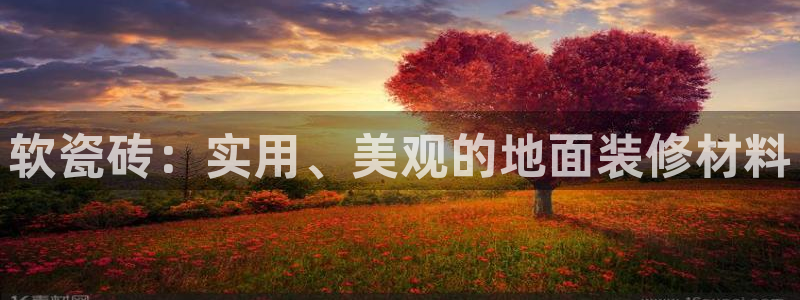 b体育必一运动网页版在线登录入口