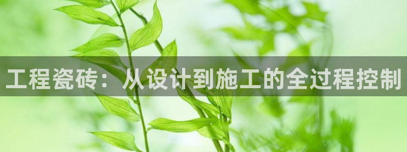 必一体育官方app下载