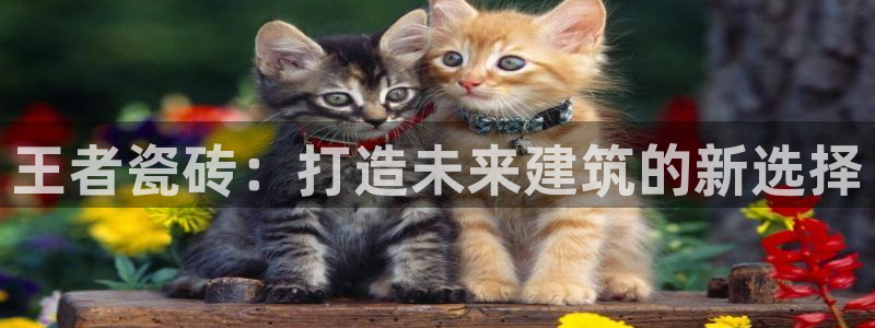 必一体育在线登陆