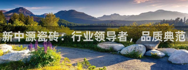 必一体育sportB体育