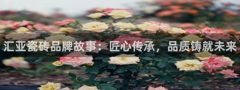 Bsport体育app必一