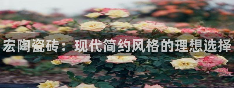 必一体育app官方