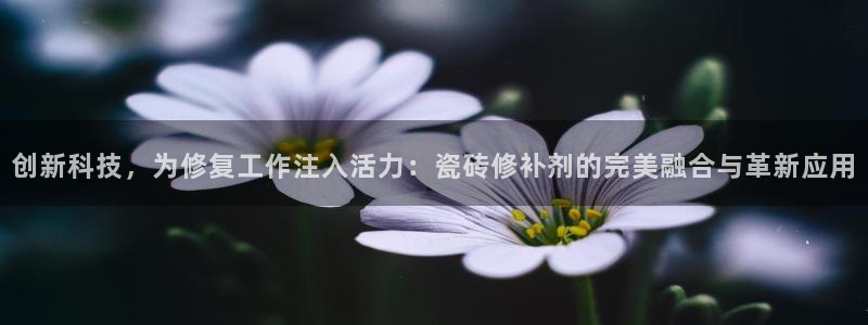 必一体育在线官网