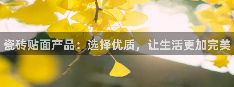 必一体育APP下载安装