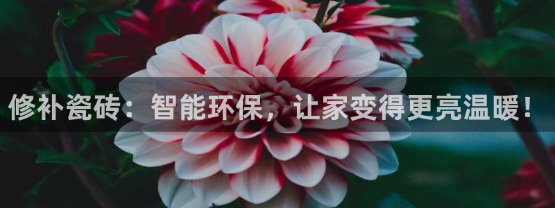 必一体育游戏玩法