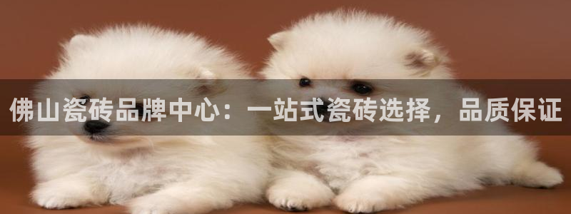 必一体育手机下载