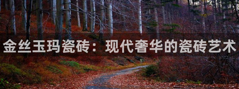 必一运动体育官网