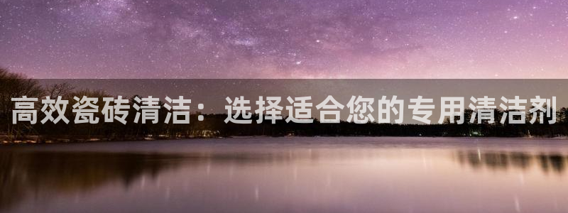 必一运动 b 体育素描版