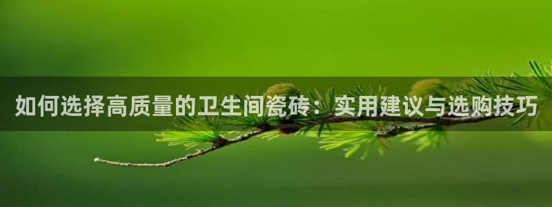 必一体育在哪下