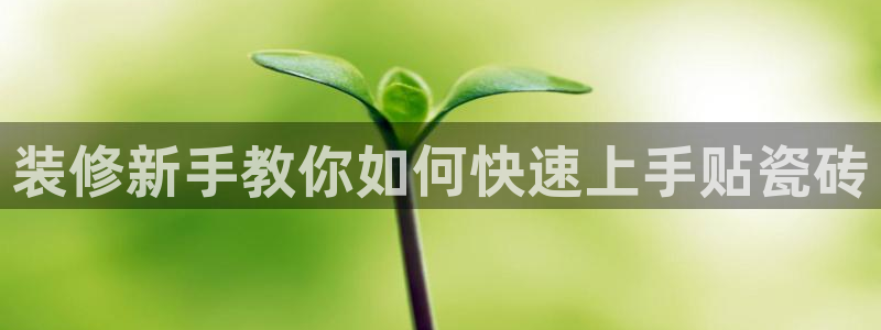 必一运动体育app